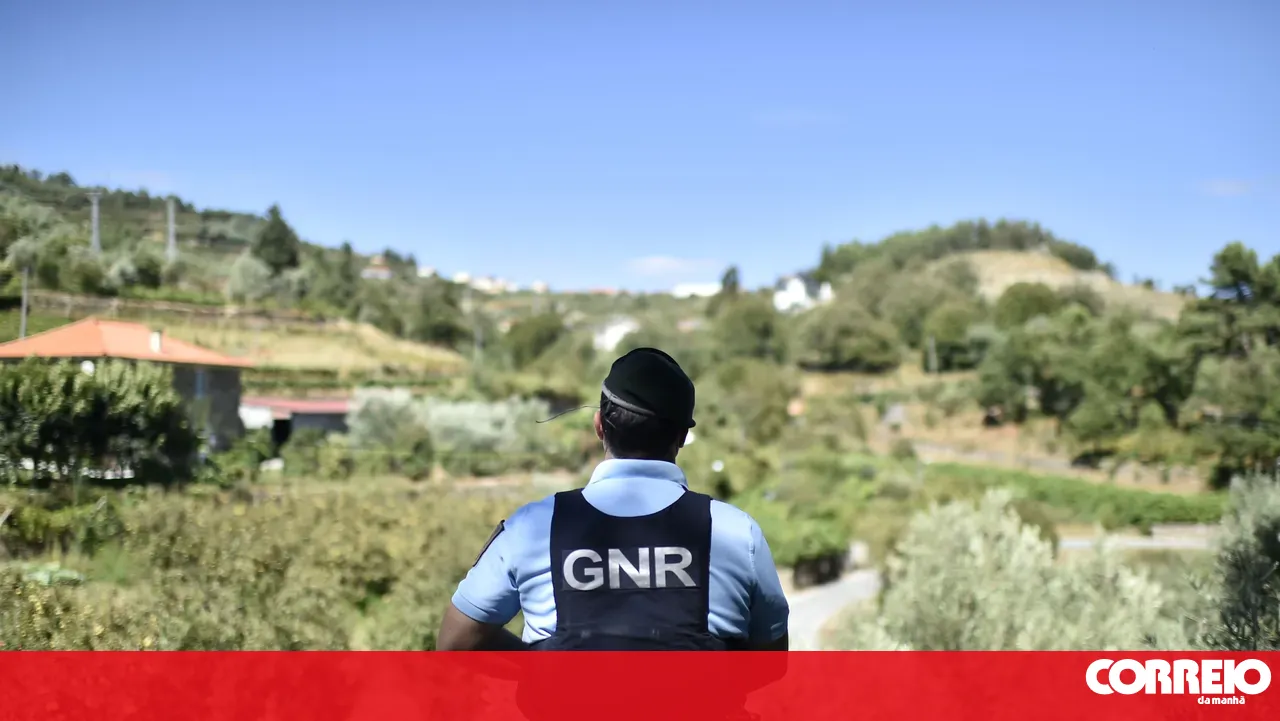 GNR officer assaulted by trio attempting to break into a home in Lousã