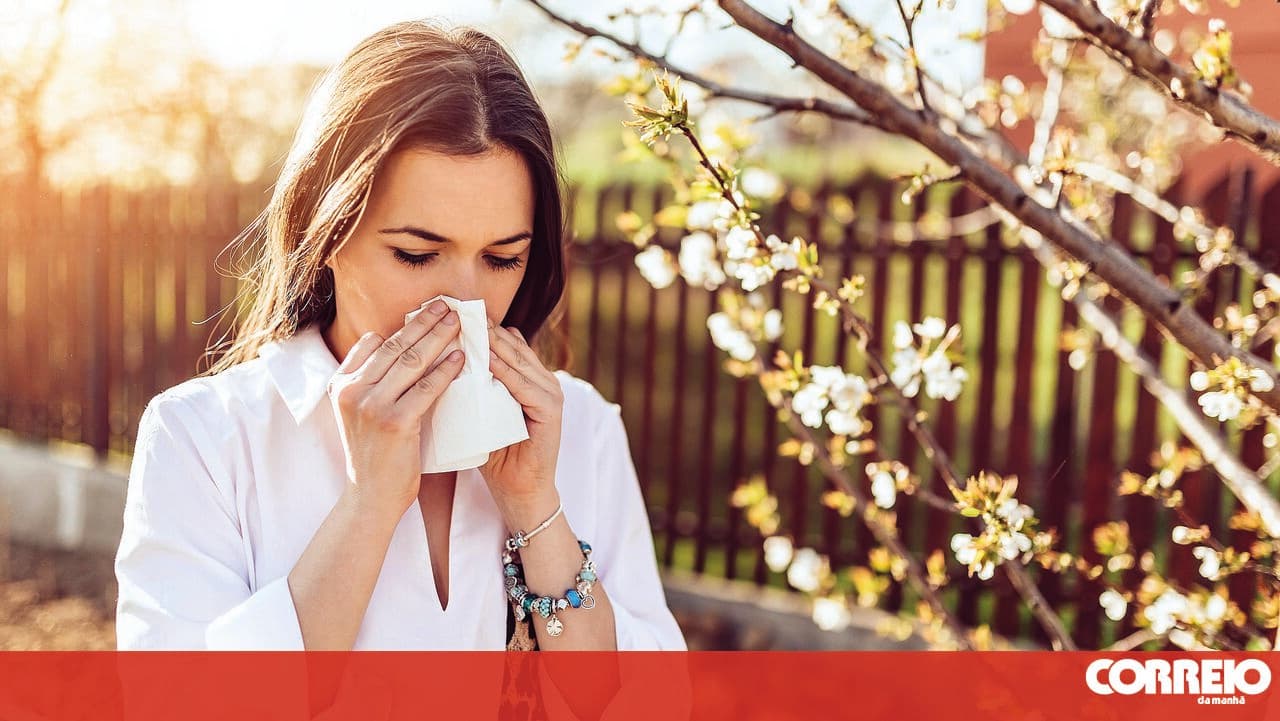 Do you have allergies? Lisbon, Alentejo, Algarve and Castelo Branco have high pollen concentrations