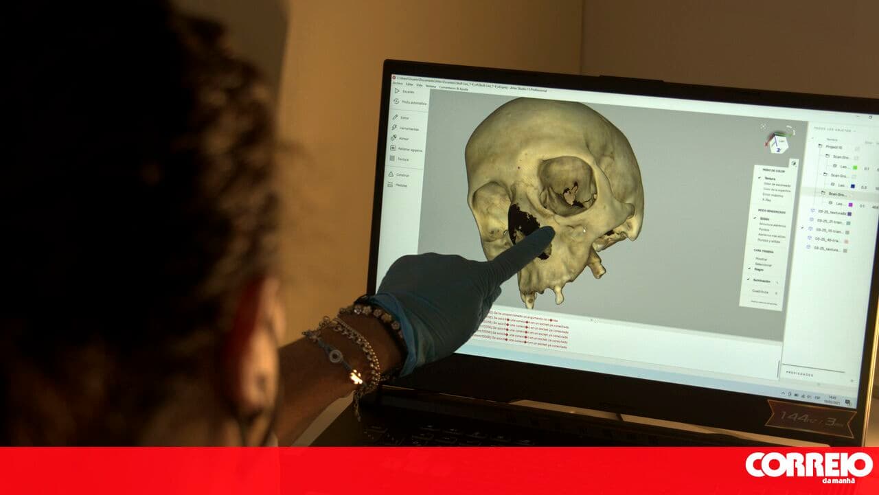 University of Aveiro develops bone substitutes using 3D printing