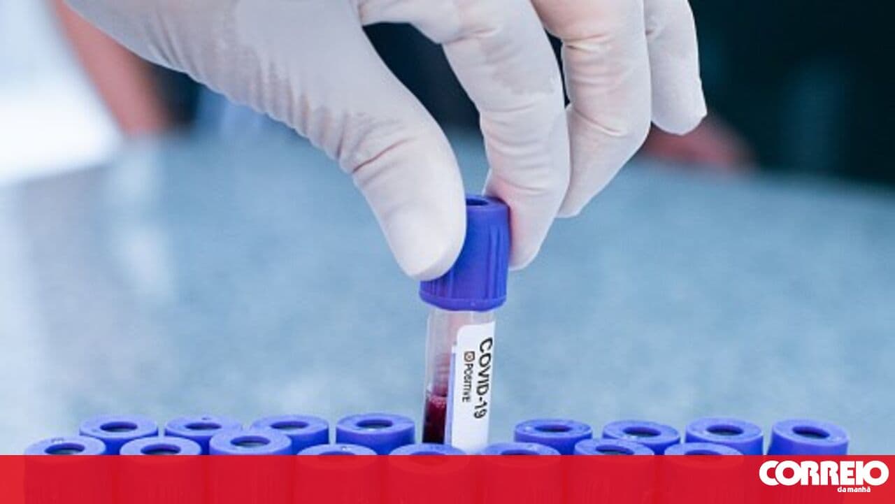 Suspected hantavirus case admitted to emergency services in Lisbon tests negative