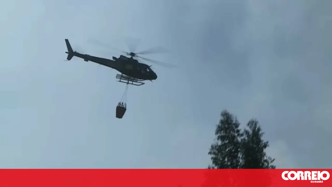 Six aerial assets fight the flames in Torre de Moncorvo