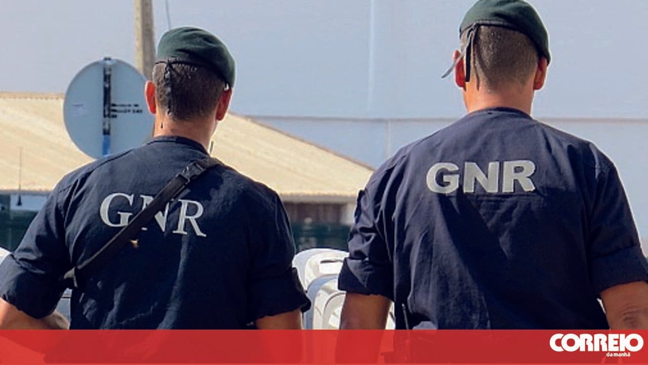 GNR seizes approximately 15 kilograms of limpets on Flores Island