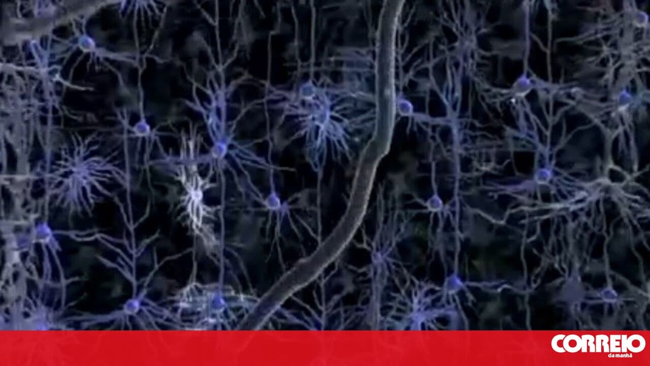 Training the brain with positive thinking may help the immune system