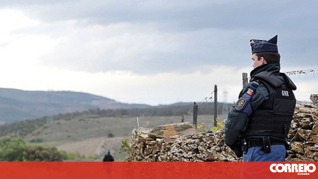 GNR seizes approximately 15 kilograms of limpets on São Miguel Island