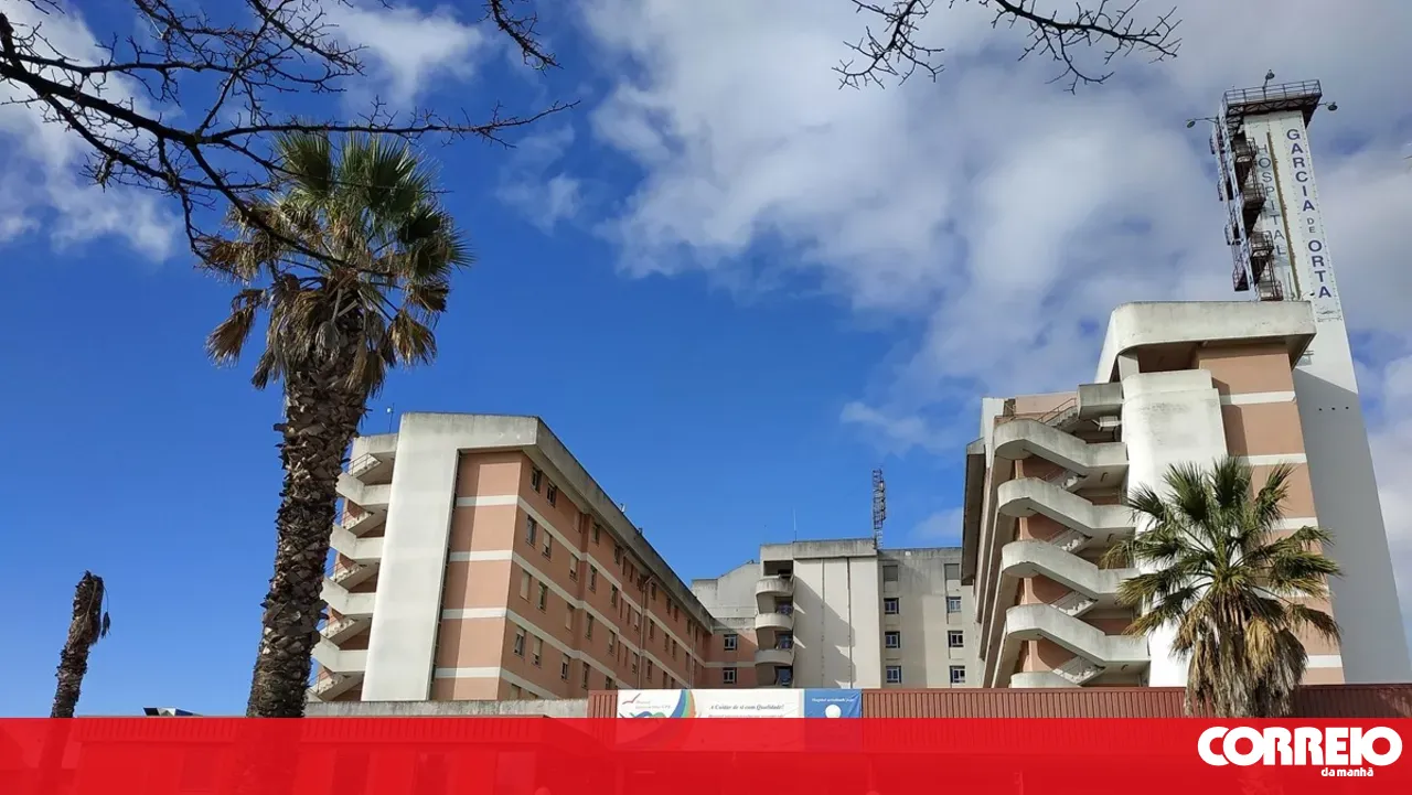 PS demands reinforcement of resources in Almada to ensure timely response for women seeking abortion services