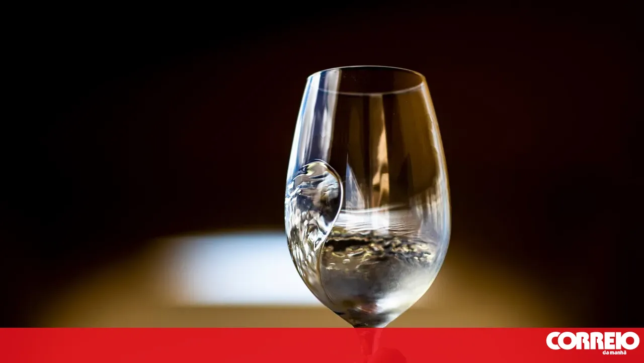 ASAE seizes over 20,000 litres of wine in Guarda
