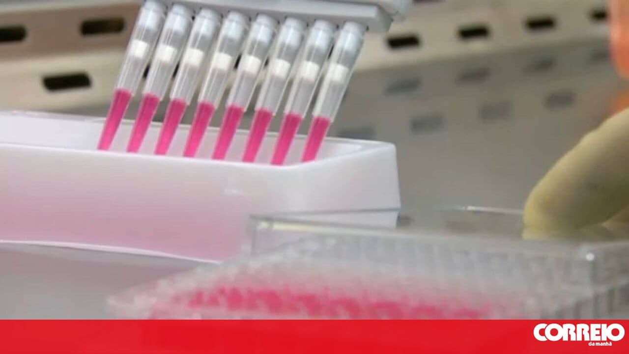 Gut microbiota may reveal risk of developing Parkinson's disease