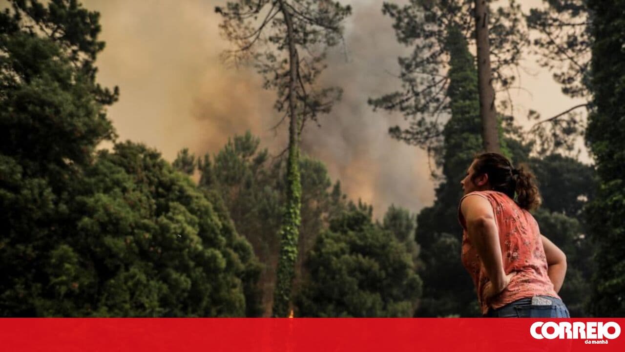Coimbra region reports delays in support payments for 2025 wildfires