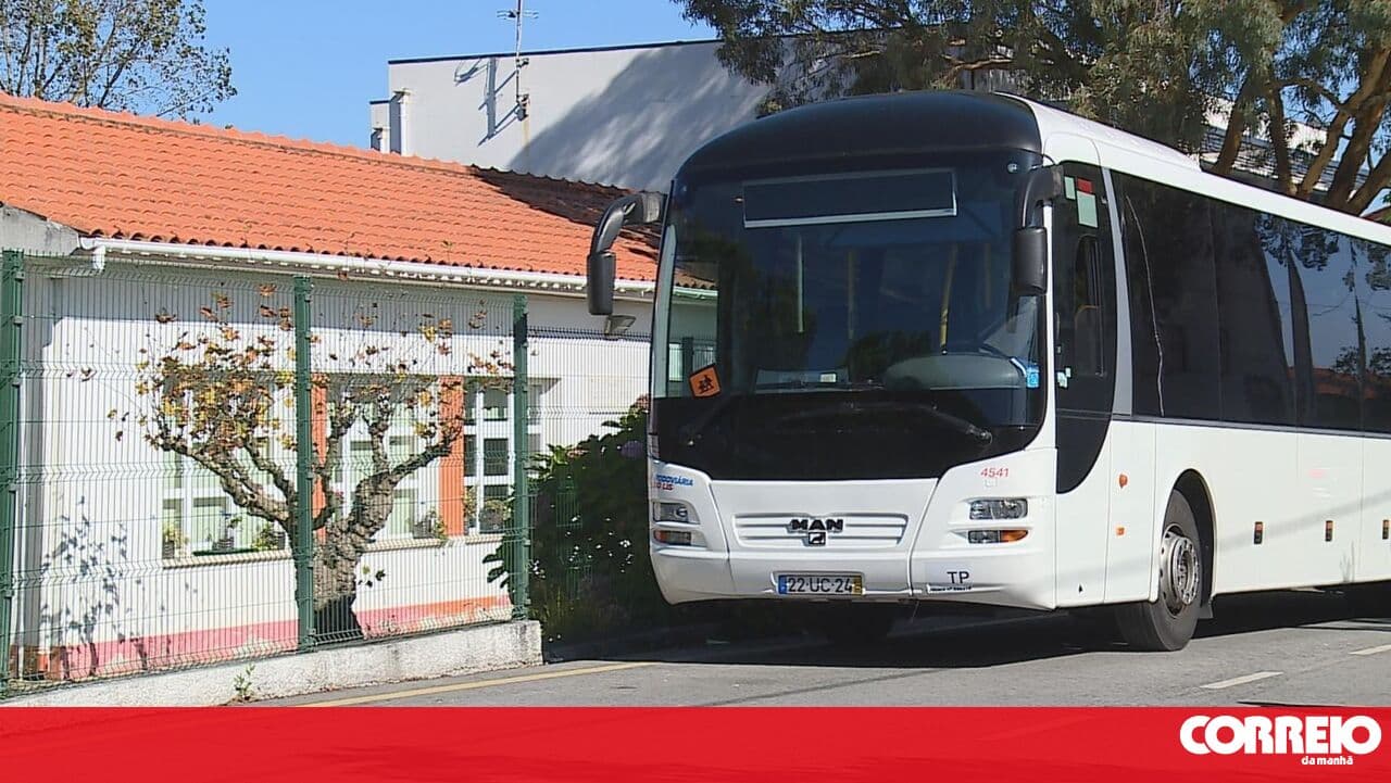 Lisbon Municipal Assembly approves tender for school transport service