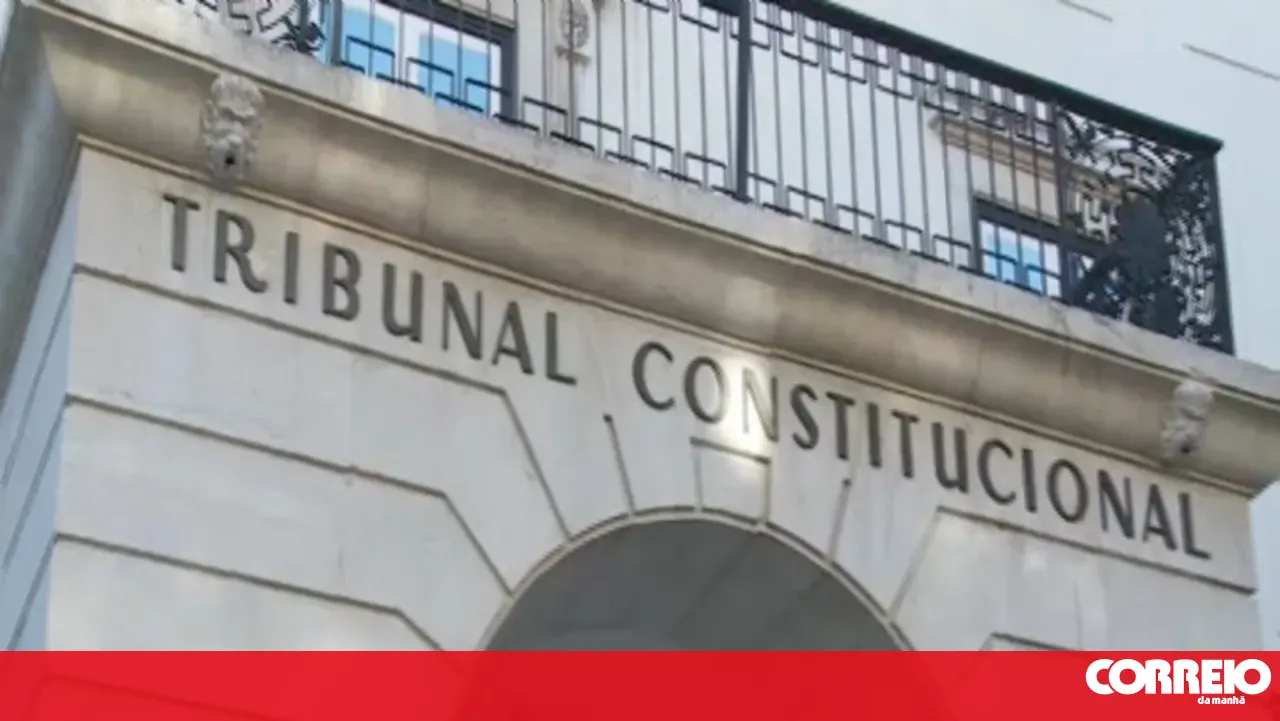 "It is very difficult to ban a party and label it fascist," emphasises Constitutional Court judge