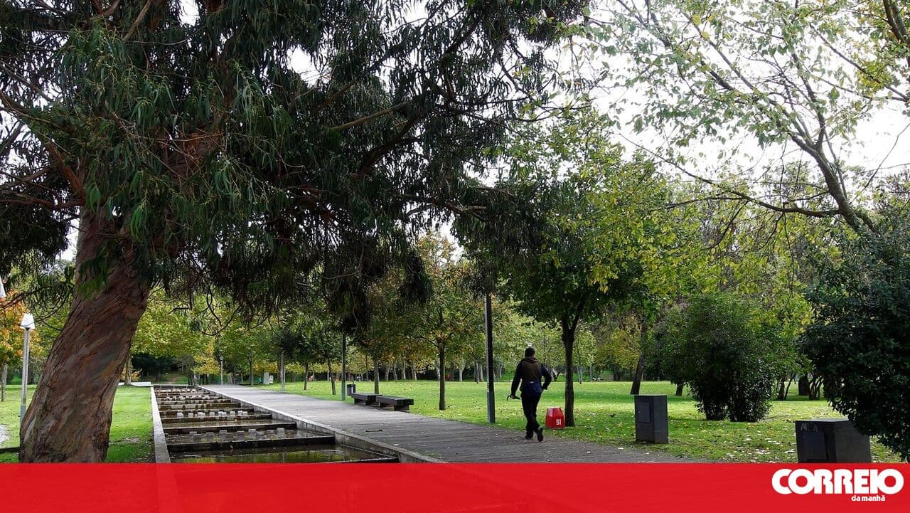 Lisbon City Council wants to review the classification of green spaces under the forestry regime