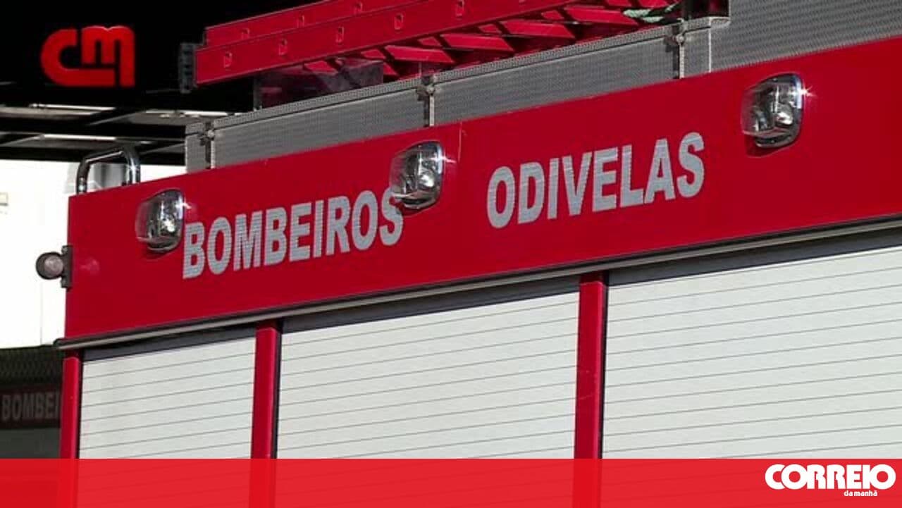 Tree falls in Odivelas, damaging two cars and a house