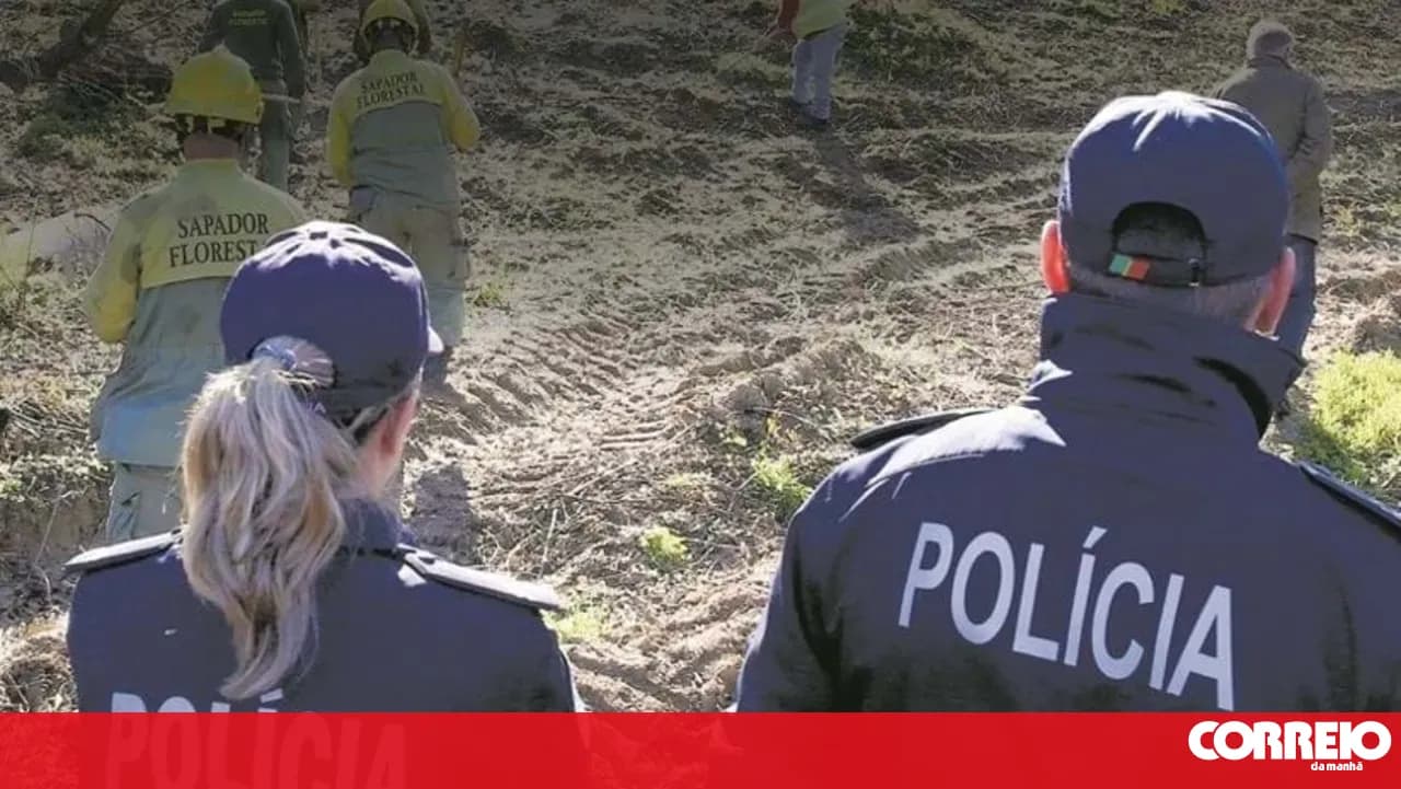 PSP arrested nine drivers for drink-driving in Aveiro