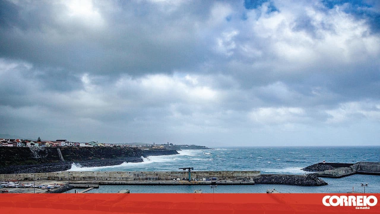 Shark beaten to death in Rabo de Peixe. Association reported the case to the Public Prosecutor's Office