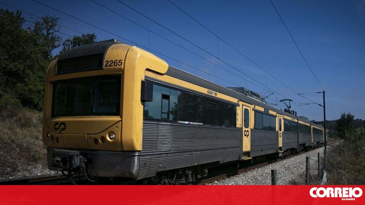 15-year-old girl dies after being hit by a train in Silves