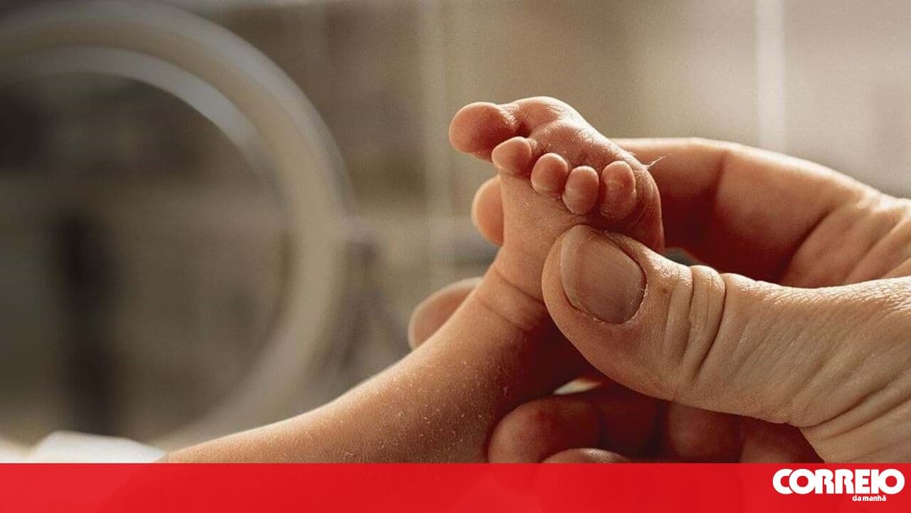 Half of the men who became fathers in Madeira in 2024 were between 30 and 39 years old