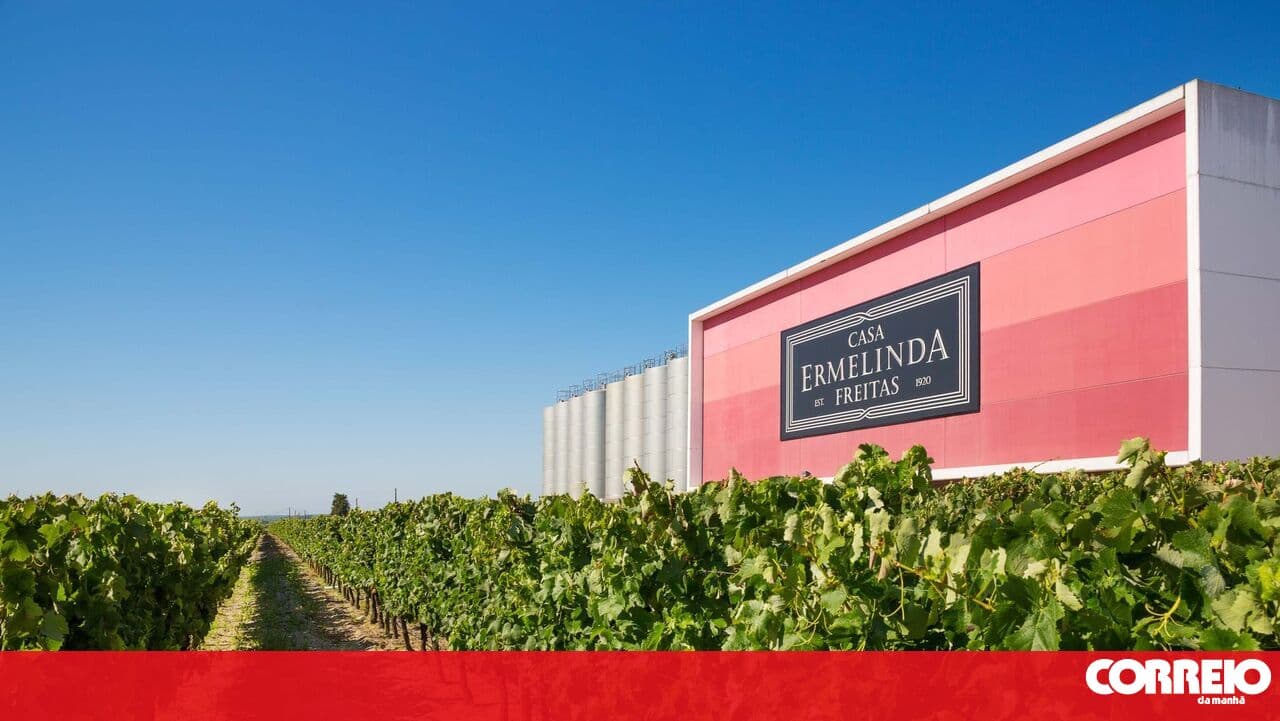 High-speed rail affects Palmela vineyards