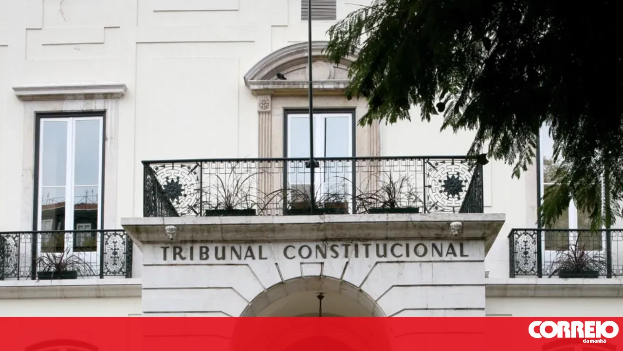 Constitutional Court says the Return Law provides relevant guarantees that safeguard the best interests of children