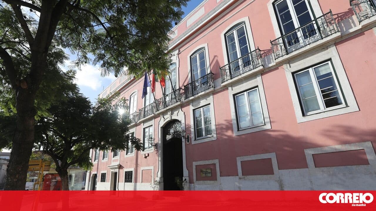 PS submits request to the Constitutional Court to review loss of nationality as an accessory penalty