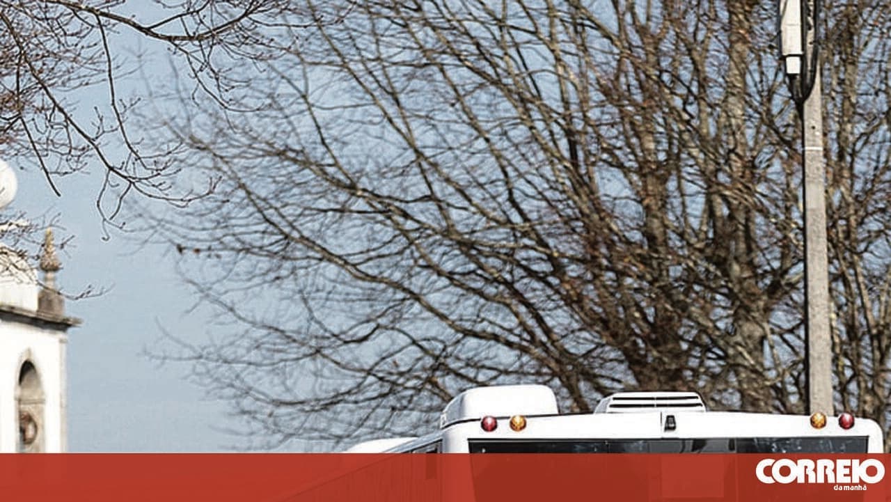 Lezíria do Tejo sets up transport operator with a €21 million investment