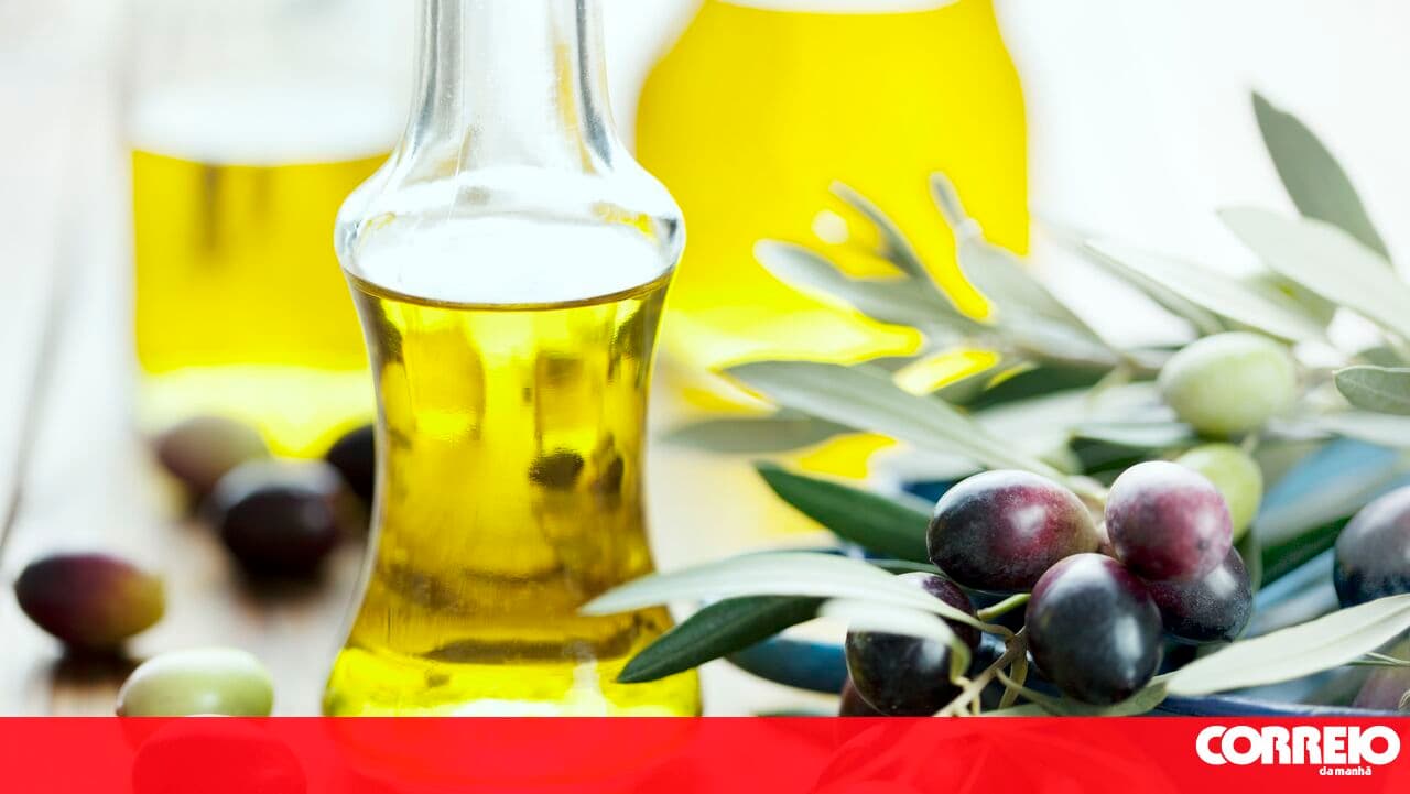 Olive oil producer in Alentejo is first to receive sustainability certification