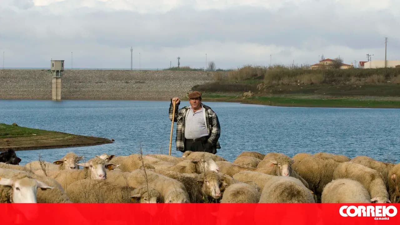 European Commission approves 30 million euros in state aid for the Portuguese agricultural sector