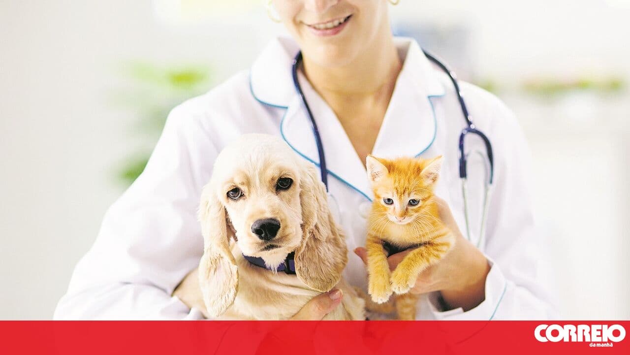 1,814 pets culled in 2025