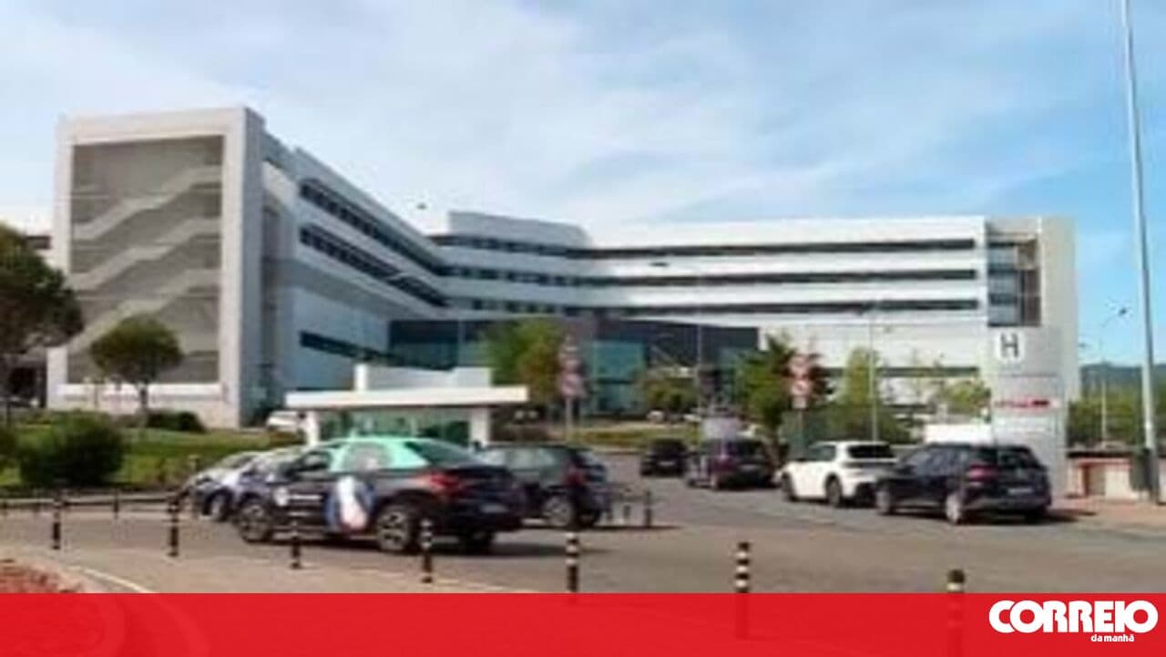 Cascais Hospital and association sign protocol for animal-assisted therapy