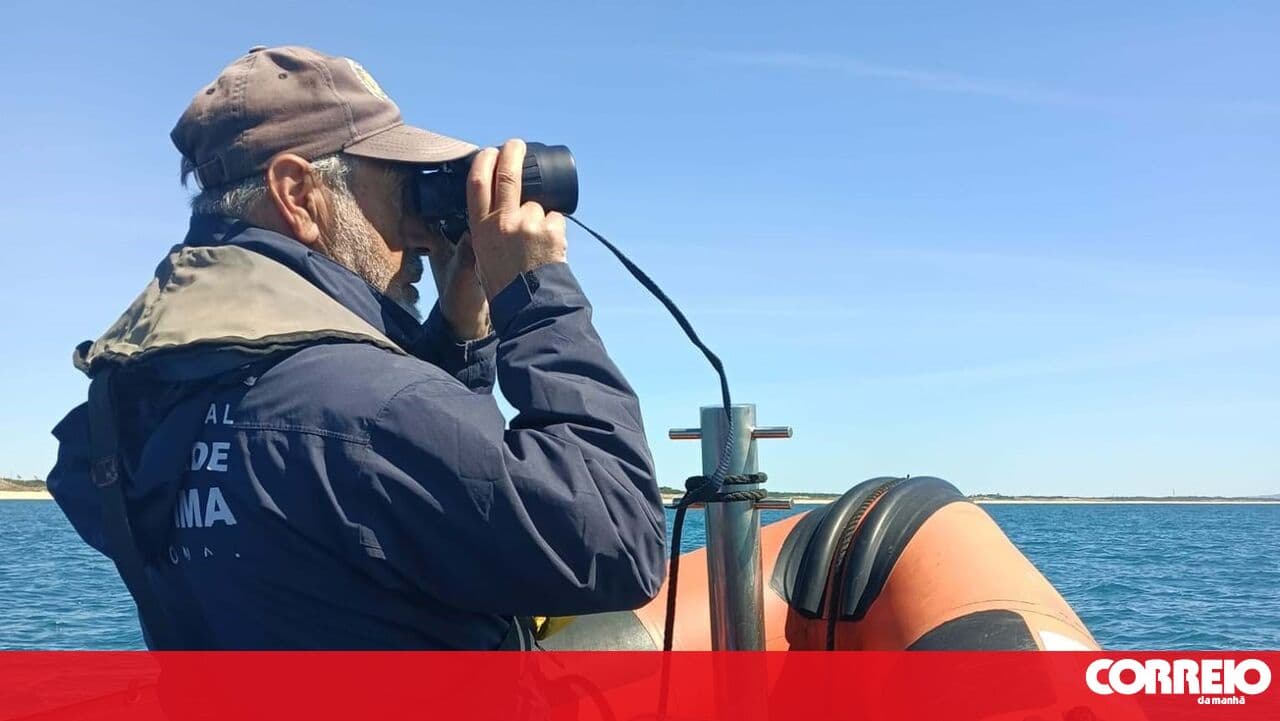 42-year-old diver dies near Cabo Espichel in Sesimbra