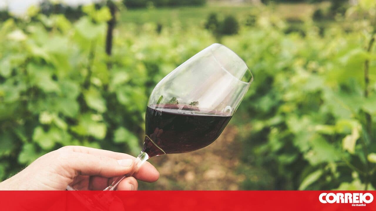 Free trade agreement boosts exports of wine and olive oil