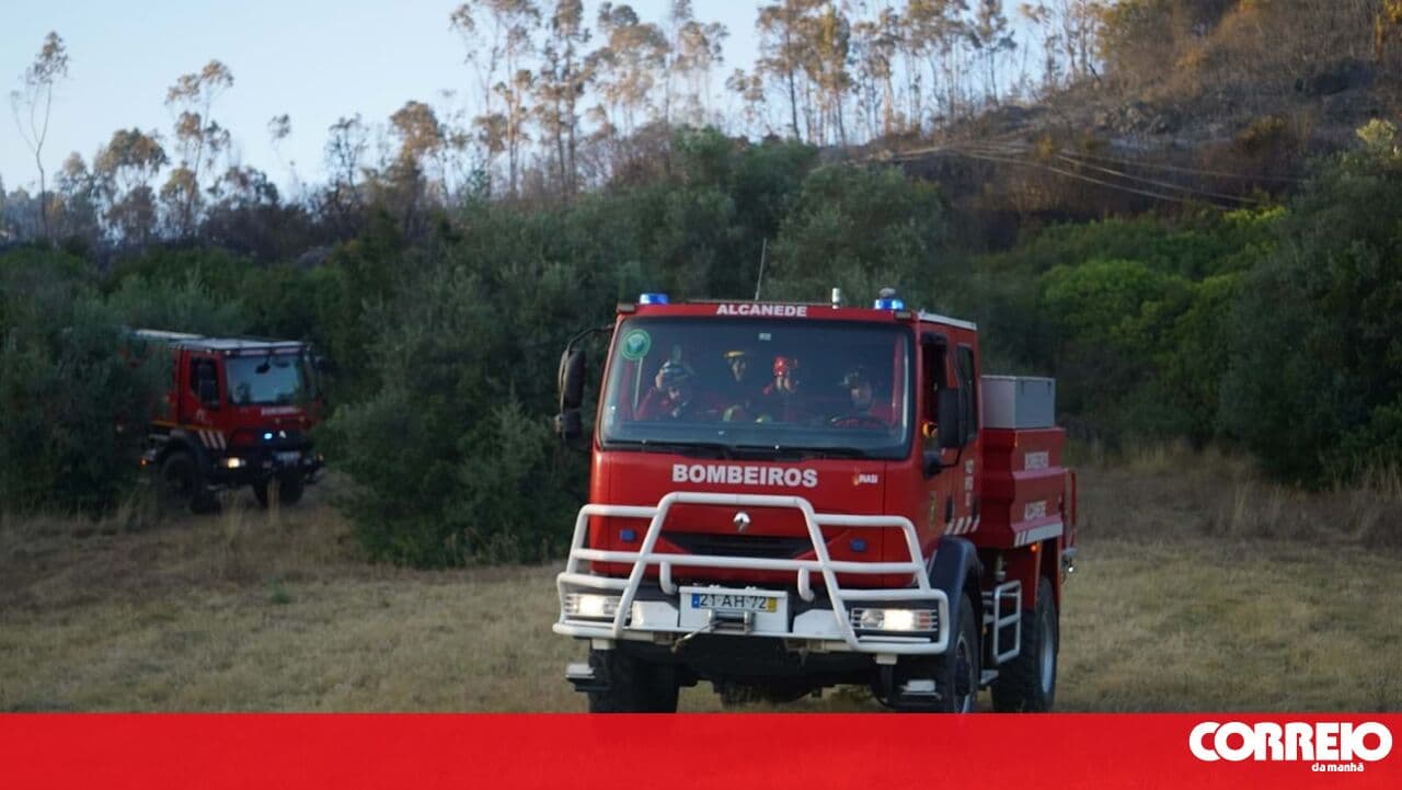 Six aerial assets fight flames in Salvaterra de Magos
