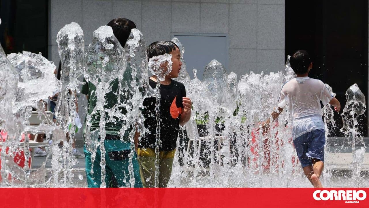 Europe on alert due to heat and fires: MEPs call for increased prevention