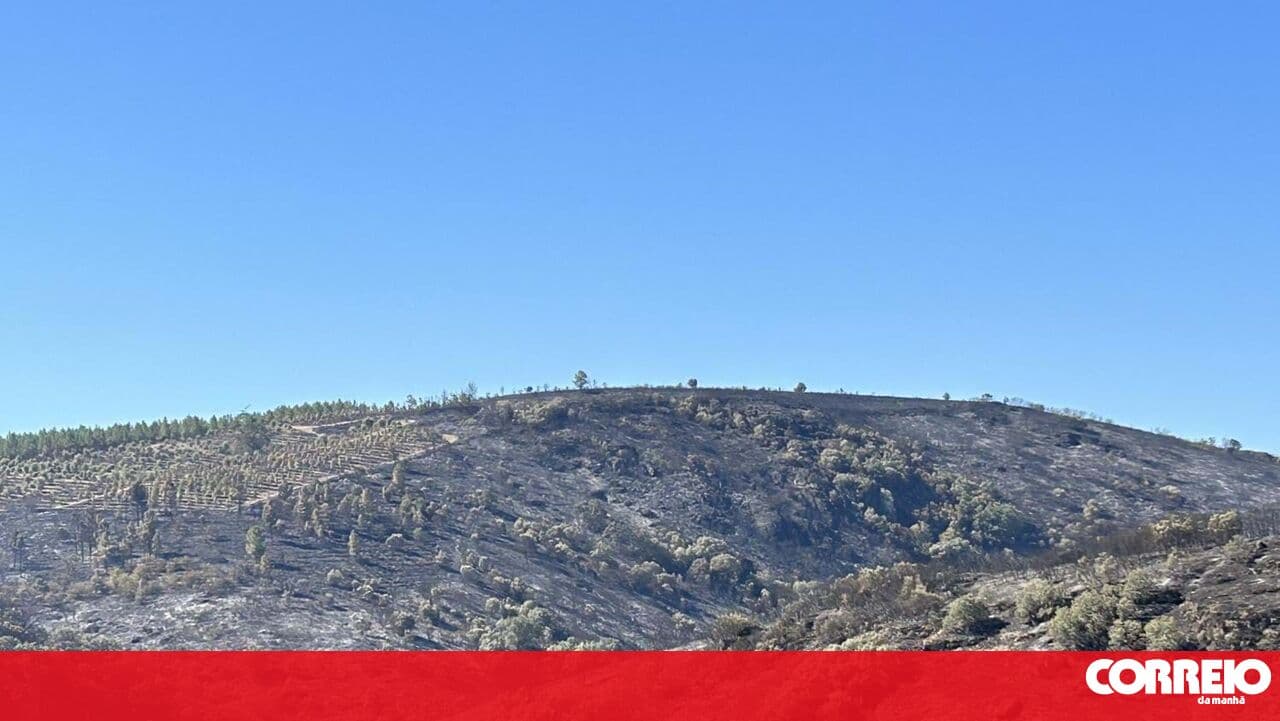 Coimbra Metropolitan Region bans burning and bonfires until 30 September