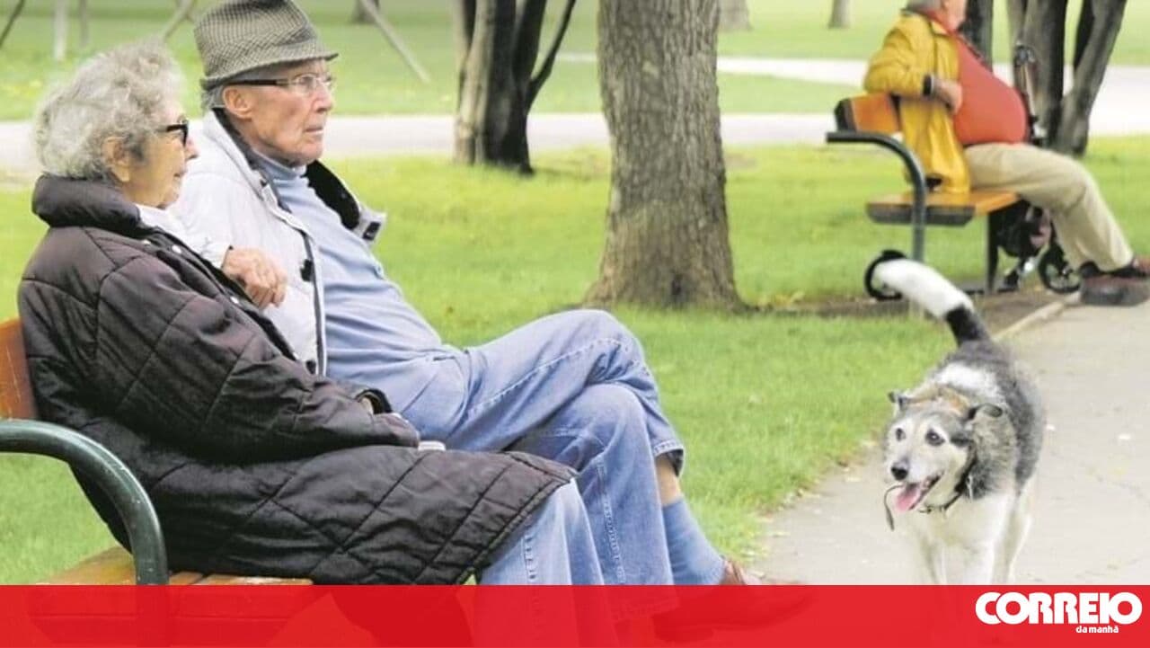 Half of old-age pensioners will receive less than 462 euros in 2024