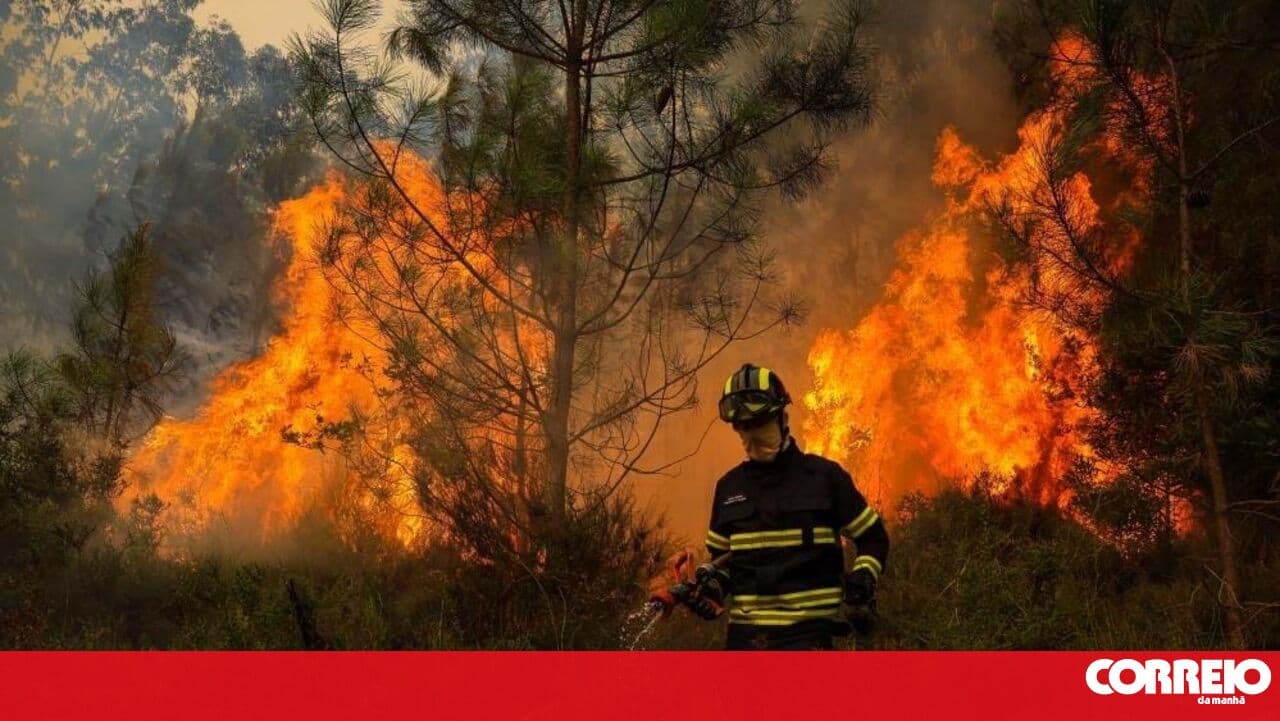PJ arrests 70-year-old woman suspected of forest fire in Resende