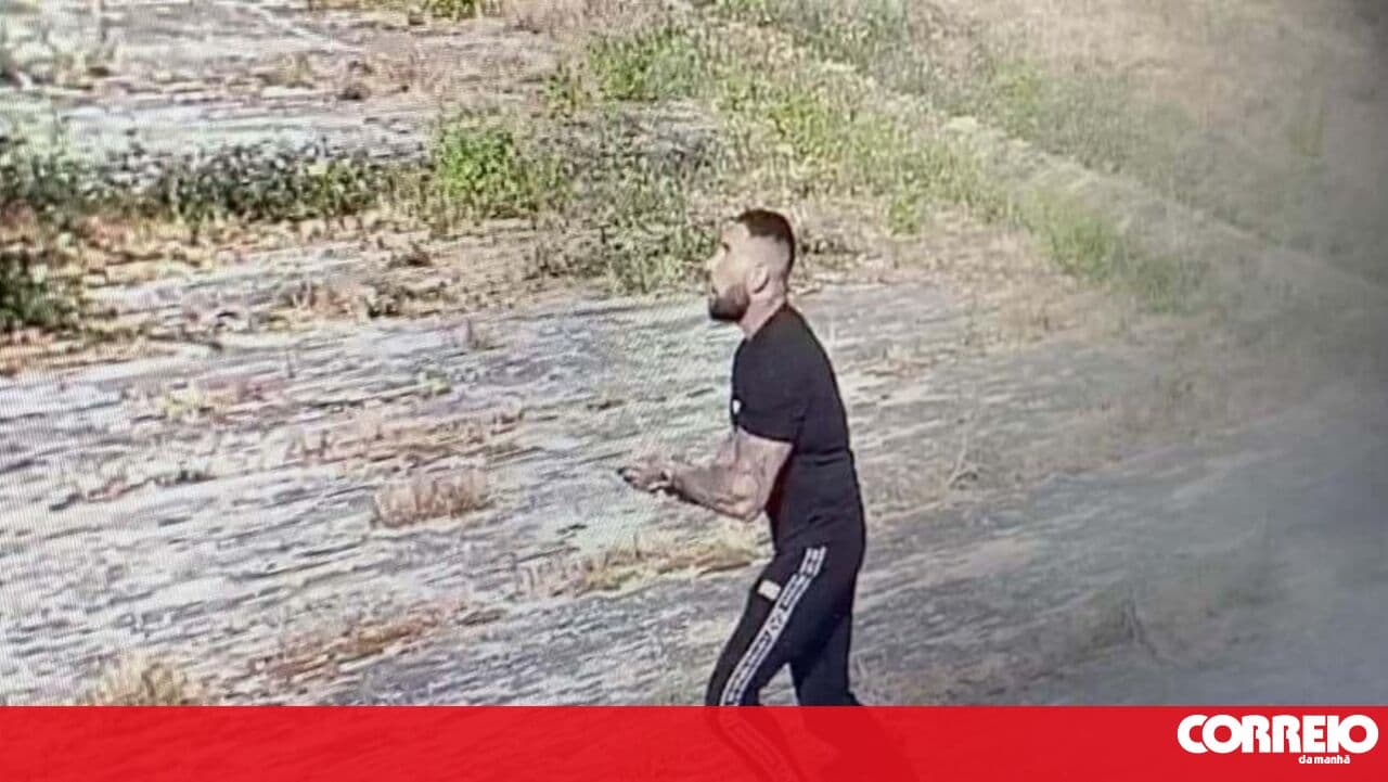 Judiciary Police conduct searches and arrest one person in the investigation into the escape of five inmates from Vale de Judeus