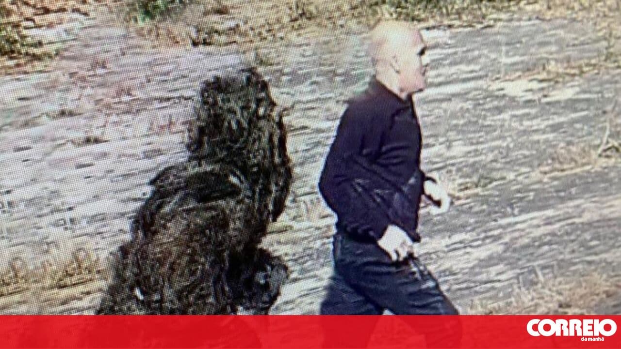 Son of Vale de Judeus escapee caught with two 'Kalashnikov' machine guns