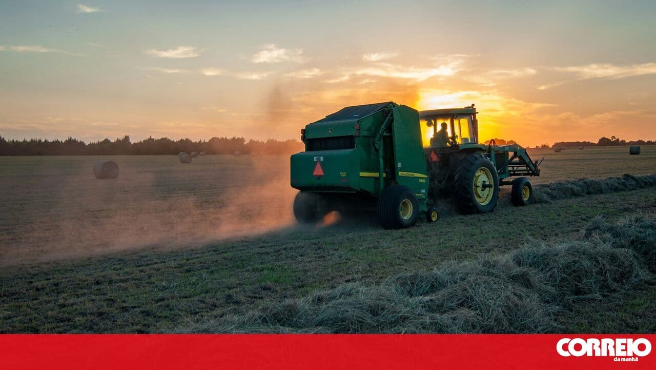 Confagri says government's optimism about Mercosur agreement is premature and calls for investment