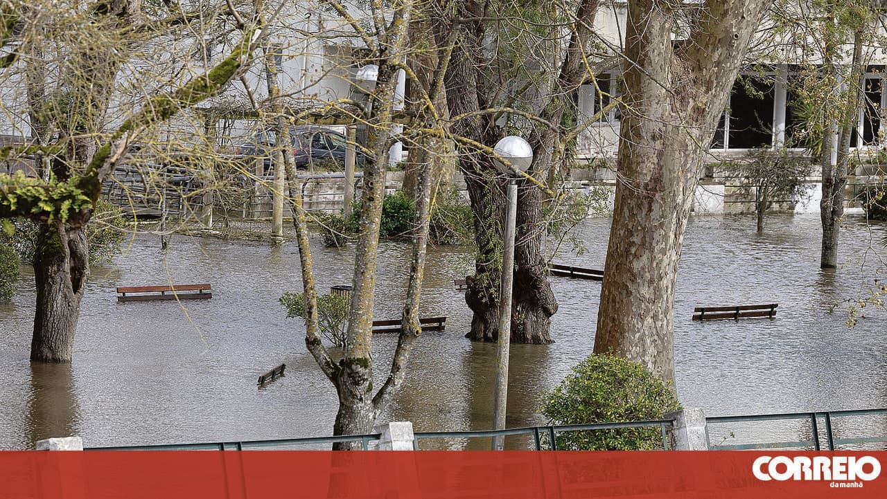 Torres Vedras sets up working group to tackle flooding problem
