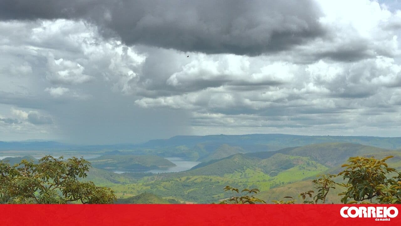 WWF Portugal considers the Agriculture Minister's statements about ICNF extremely serious