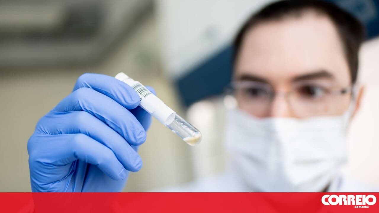 European Public Prosecutor's Office detains suspect in Portugal over COVID-19 aid fraud