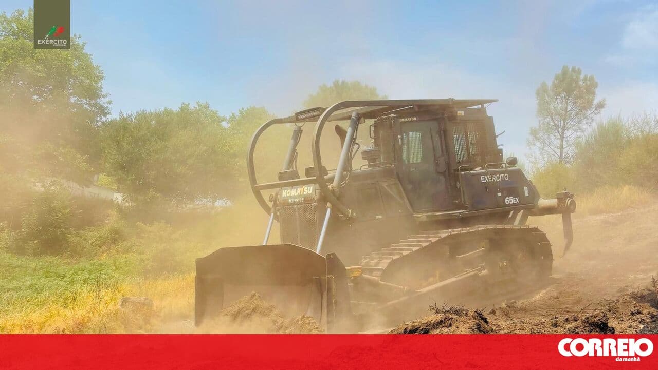 Army clears paths to mitigate forest fire risk