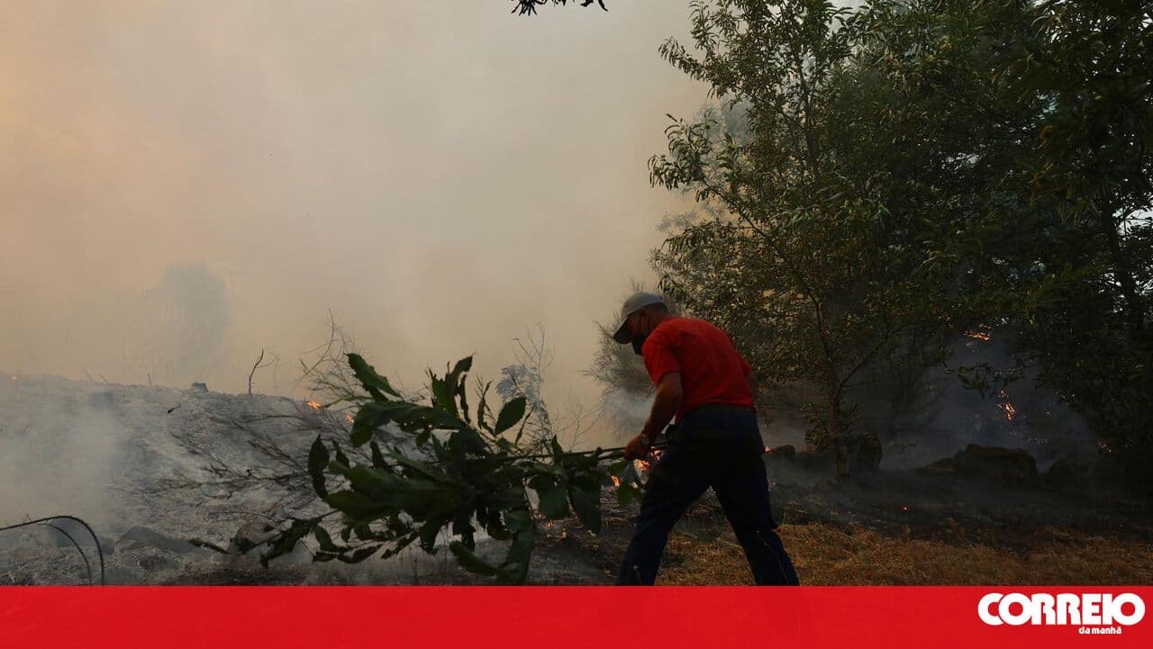 Woman arrested in Penafiel on suspicion of starting forest fire with a controlled burn