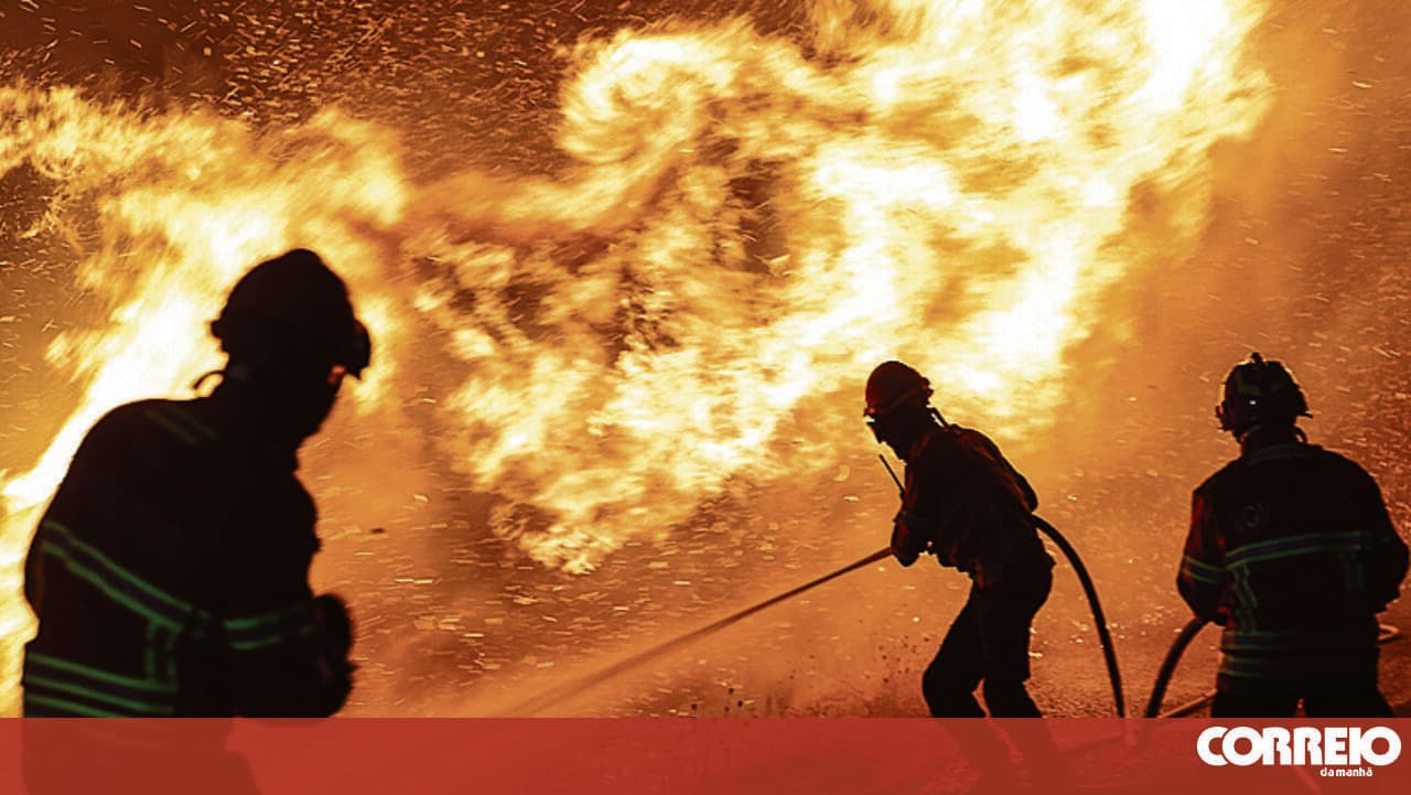New satellite map predicts wildfire risks for summer