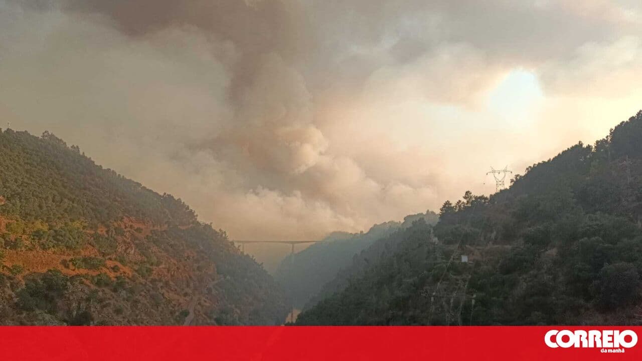 Government to pay between 300 and 360 euros per hectare burned by controlled fire