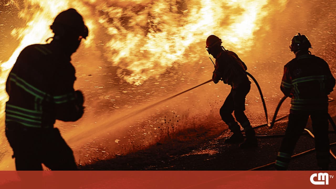 Learn how technology can help prevent fires in Portugal