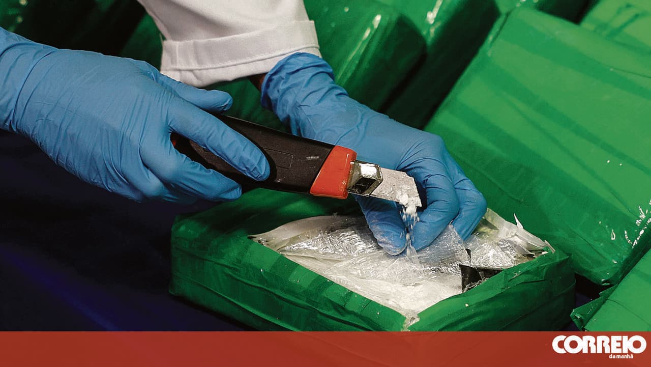Two drug trafficking suspects arrested and over 260 kilograms of cocaine seized in Elvas