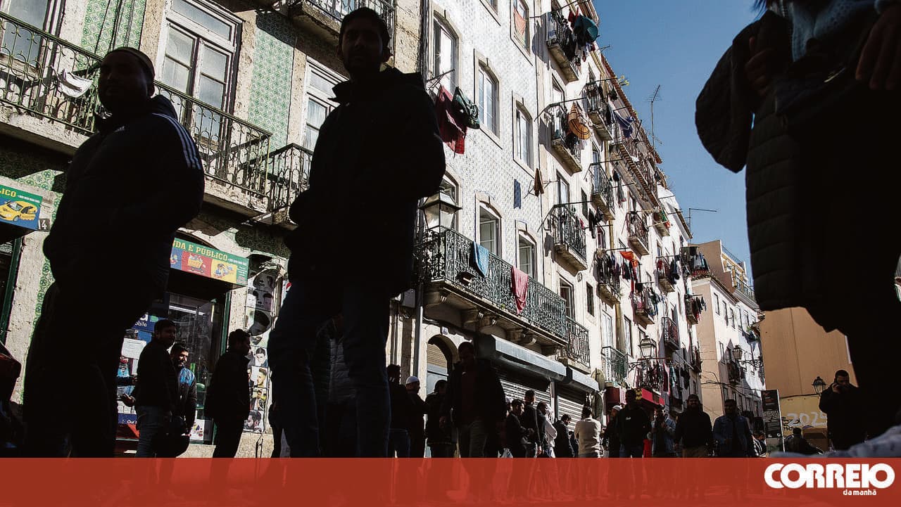 Digital platform "Fica, Imigrante" aims to help clarify doubts