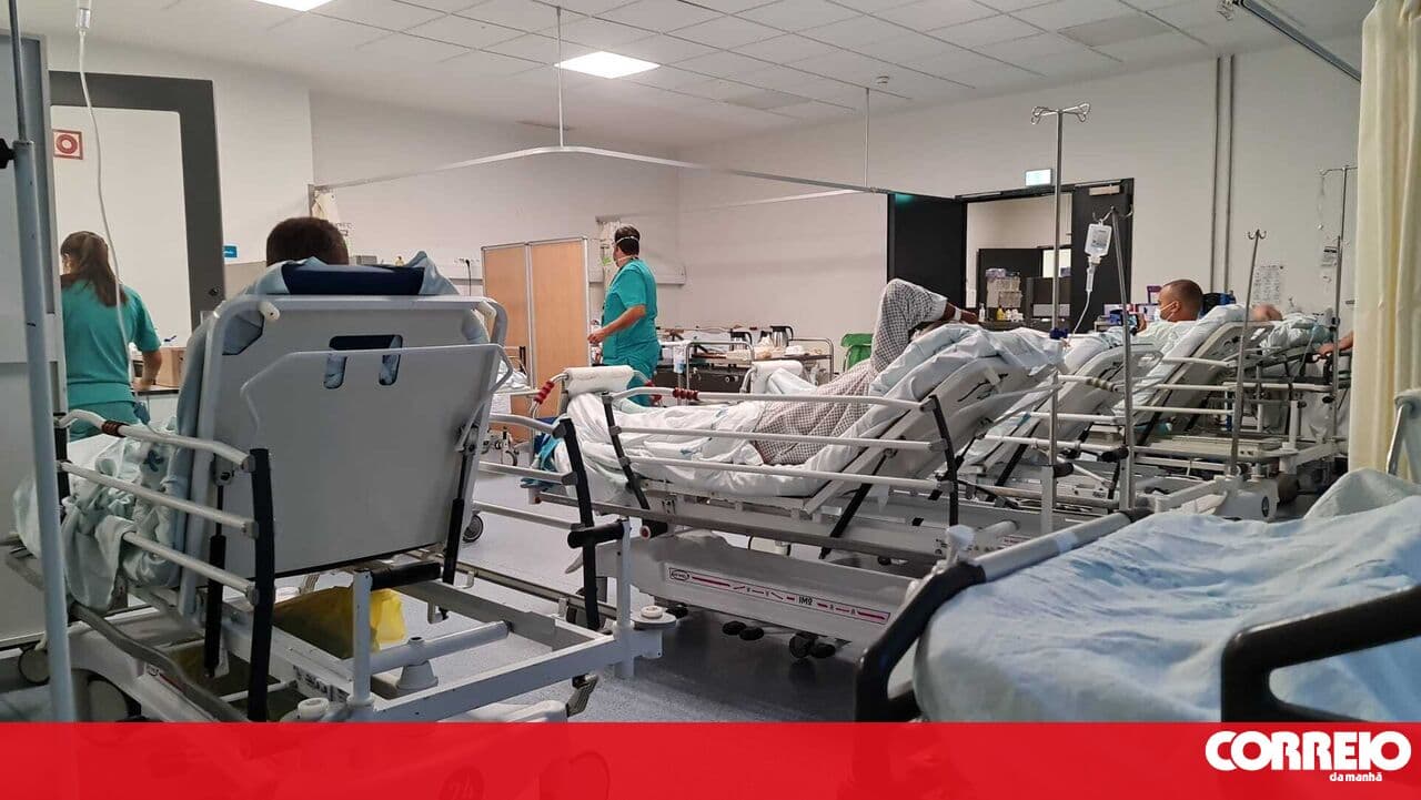 INSA clarifies that the first case of Candida auris in Portugal was detected in 2022