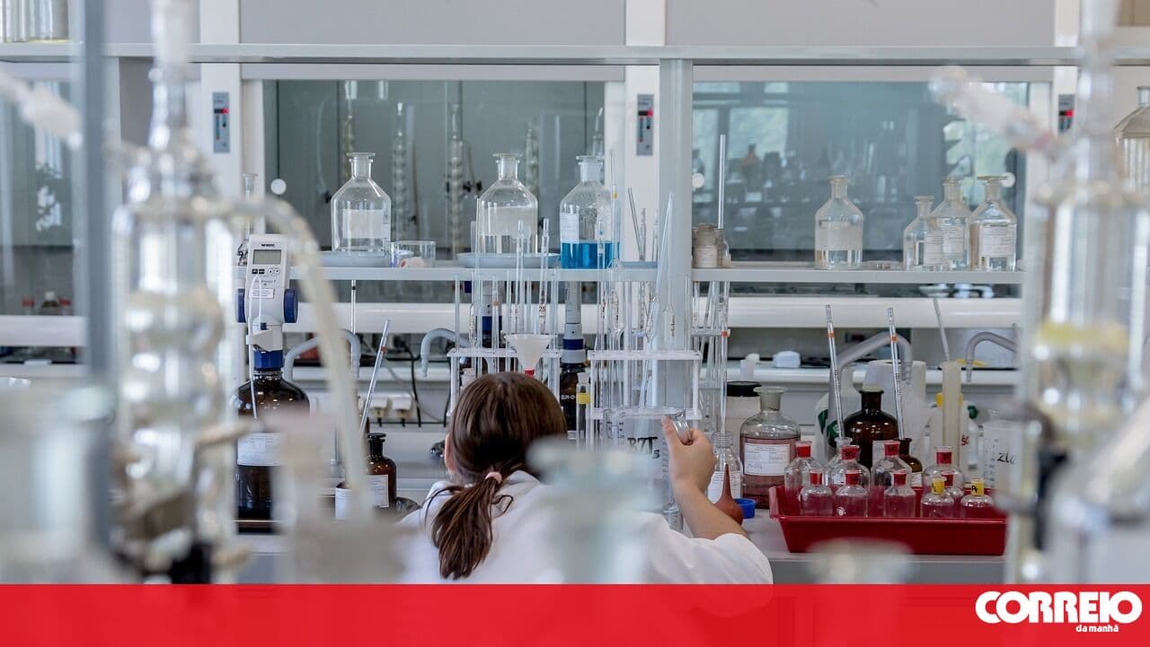Porto scientists pave the way to delay immune system ageing